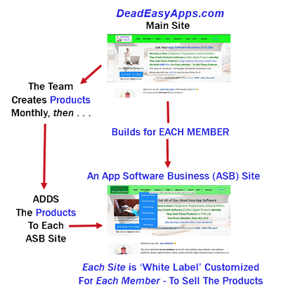 App Software Business Site Flow